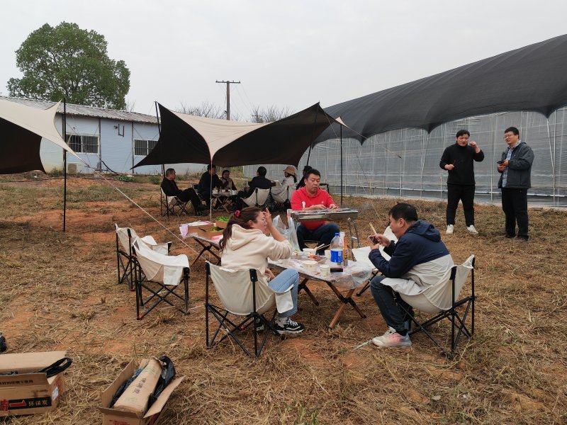img_20241123_115356.jpg